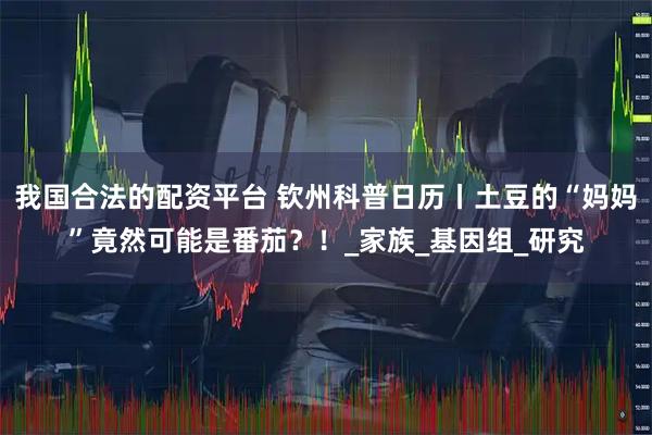 我国合法的配资平台 钦州科普日历丨土豆的“妈妈”竟然可能是番茄？！_家族_基因组_研究