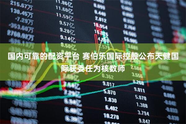 国内可靠的配资平台 赛伯乐国际控股公布天健国际获委任为核数师