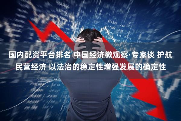 国内配资平台排名 中国经济微观察·专家谈 护航民营经济 以法治的稳定性增强发展的确定性