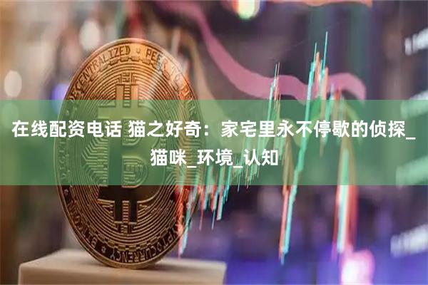 在线配资电话 猫之好奇：家宅里永不停歇的侦探_猫咪_环境_认知